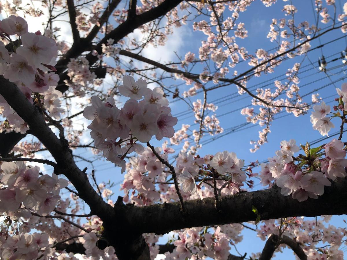 Masaru House Villa Osaka Eksteriør billede